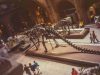 127-Schottland-London-Natural-History-Museum-109