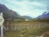 56-Schottland-57