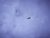 92-Schottland-RAF-Phantom-F-4J