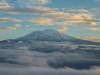 kilimanjaro-97