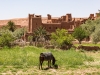 ain-ben-haddou9