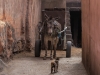 marrakech33