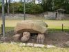 03-Copan-Ruins-24