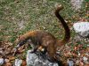 16-Tikal-13
