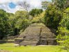 18-Caracol-6