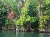 19-Rio-Dulce-4