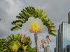 Panama-07