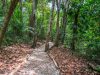 Panama-31