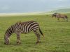 19-22-Ngorongoro
