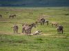 19-29-Ngorongoro