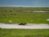 19-31-Ngorongoro-Wasserbueffel