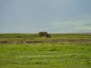 19-47-Ngorongoro