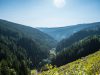 2.08-Transalpina