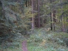 aufgang-richtung-sylvan aufgang-richtung-sylvan