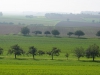 blick-richtung-waldzell blick-richtung-waldzell