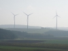 blick-richtung-zellingen blick-richtung-zellingen