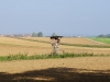 hochsitz hochsitz
