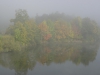 mainufer-im-nebel mainufer-im-nebel