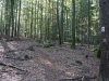 richtung-hafenlohrtal richtung-hafenlohrtal