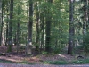 richtung-sylvan-5 richtung-sylvan-5