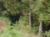 versteckter-wegweiser versteckter-wegweiser