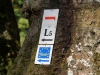 wegweiser-sylvan-und wegweiser-sylvan-und