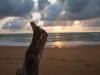 strand-baumstumpf strand-baumstumpf