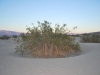 6-death-valley-8